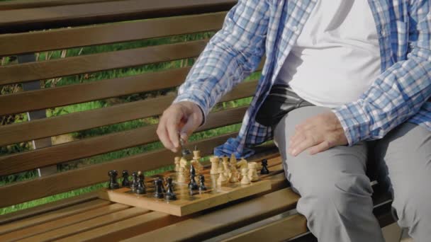 Alter Mann spielt Schach allein auf der Bank im Sommerpark - Filmmaterial, Video