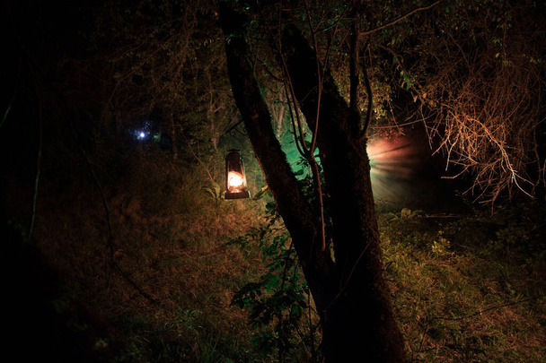 Concetto horror di Halloween. Brucia vecchia lampada ad olio nella foresta di notte. Scenario notturno di una scena da incubo
. - Foto, immagini