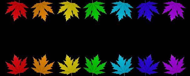 feuilles isolées de couleurs arc-en-ciel 7
 - Photo, image