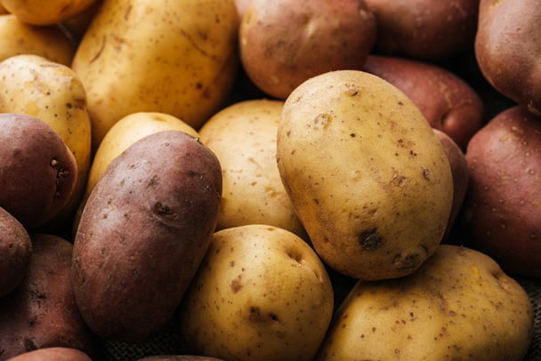 organic raw potatoes on white background - Foto, Bild