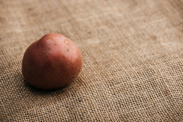 Nahaufnahme von Bio-Rohkartoffeln auf braunem rustikalem Sacktuch - Foto, Bild