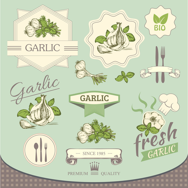 Knoblauch Gewürz, Gemüse, Hintergrundprodukt, Verpackungsdesign für Etiketten - Vektor, Bild