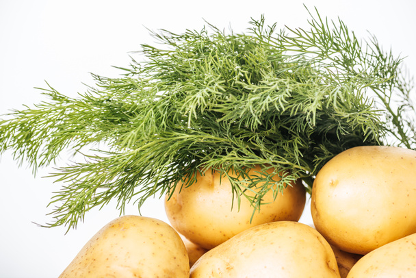 rohe Kartoffeln mit frischem Dill isoliert auf weißem Hintergrund - Foto, Bild
