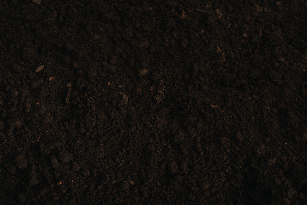 top view of brown ground background - Фото, зображення
