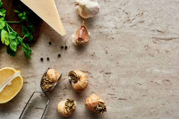 vrchní pohled na lahodné vařené escargots s citrónem, parmezánem, česnekem, petrželkou, černým pepřem a pinzetou na kamenném pozadí - Fotografie, Obrázek