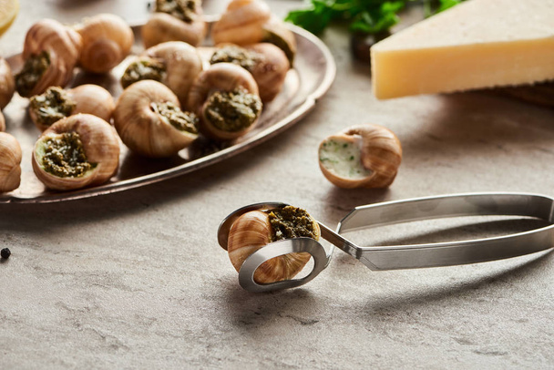 selektiver Fokus köstlich gekochter Escargots in der Nähe von Parmesan und Pinzette auf Steinhintergrund - Foto, Bild