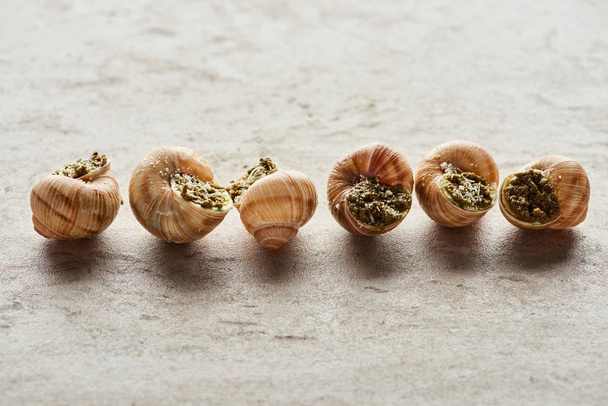 delicious gourmet escargots in row on stone background - Foto, Imagem