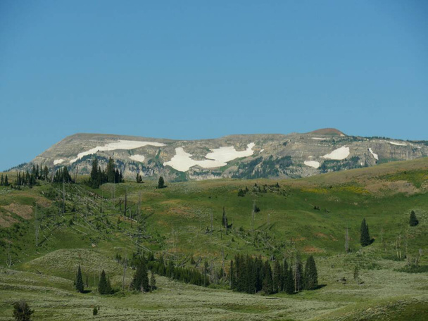 Colinas inclinadas com pinheiros e neve em montanhas distantes em Y
 - Foto, Imagem