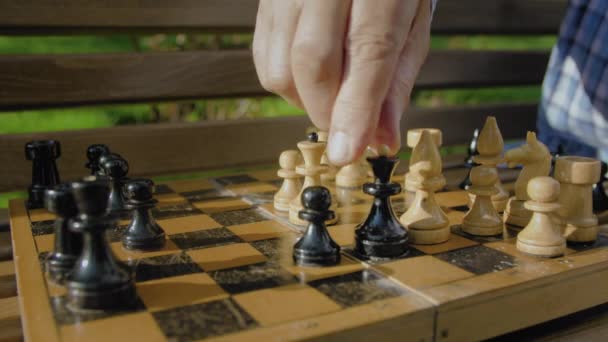 Staruszek gra w szachy sam na ławce w letnim parku. - Materiał filmowy, wideo