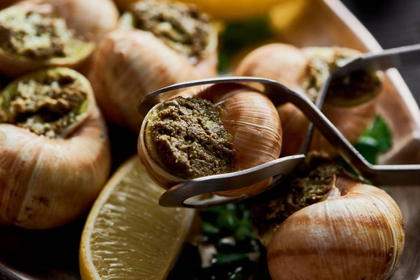 close up view of delicious cooked escargots with lemon slices and tweezers - Foto, Imagem