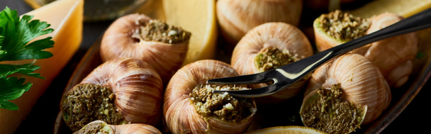 close-up uitzicht op heerlijke gekookte escargots met citroenschijfjes op bord met vork, panoramisch schot - Foto, afbeelding
