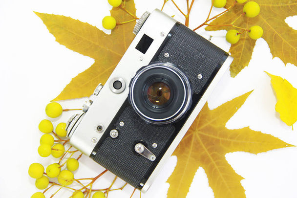 oude fotocamera met een lens in een zwarte kast op achtergrond van herfst gele bladeren - Foto, afbeelding