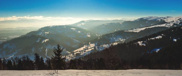 Top view of a spacious snow-covered ski slope - Fotoğraf, Görsel