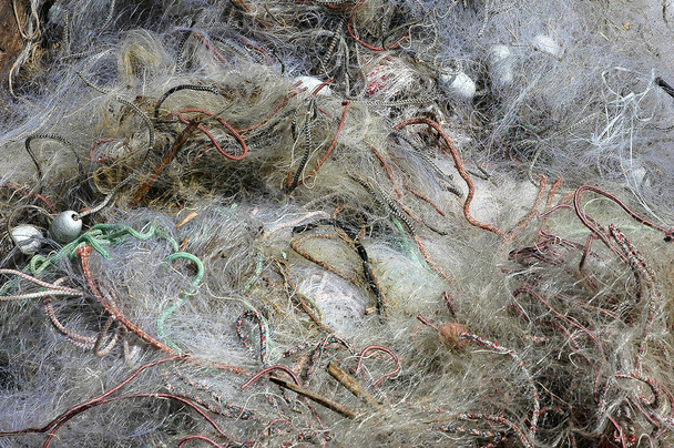 Αλιευτικά δίχτυα - Φωτογραφία, εικόνα