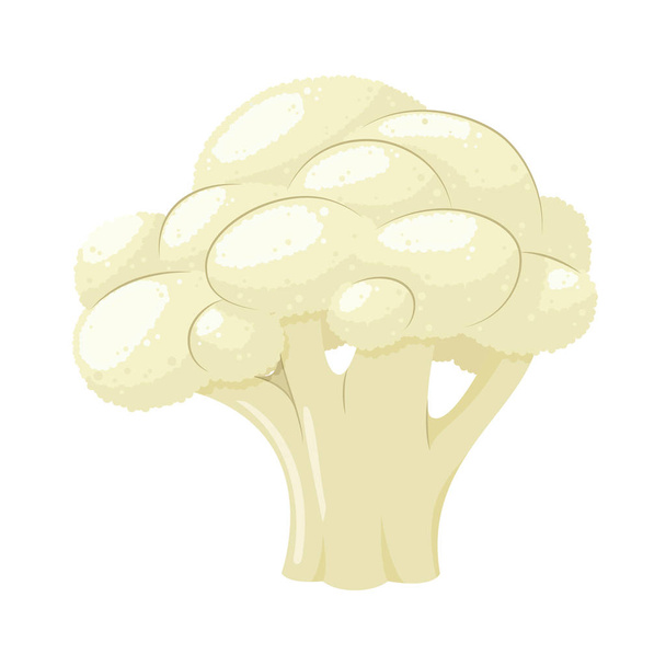 Illustration vectorielle d'un drôle de chou-fleur en dessin animé
. - Vecteur, image