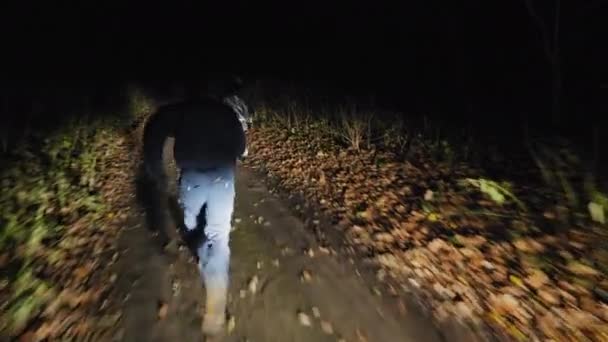 Un criminel attrape une fille courant sur une route de campagne la nuit
 - Séquence, vidéo