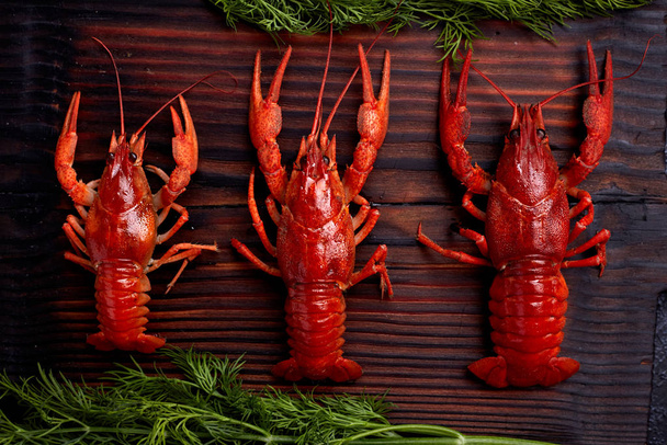 Boiled cooked crayfish crawfish ready to eat on dark wooden background. Copy space. Overhead. - Fotografie, Obrázek