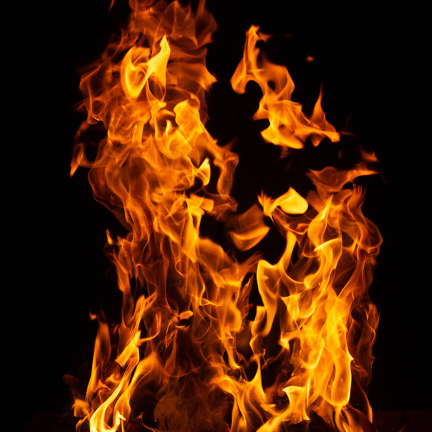 Fire on black background. - Photo, Image