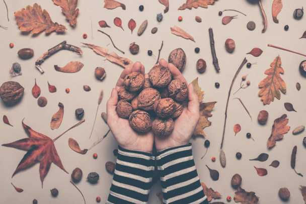Handful of whole walnut fruit from above - Foto, afbeelding