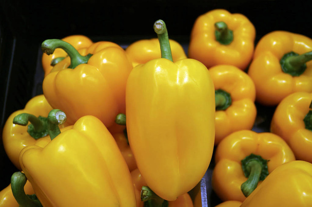 Heap de pimentas maduras frescas amarelas vivas do sino com hastes verdes
 - Foto, Imagem