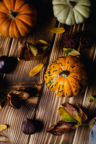 φθινόπωρο Ημέρα των Ευχαριστιών νεκρή ζωή με κολοκύθες ποικιλία, κάστανα - Φωτογραφία, εικόνα