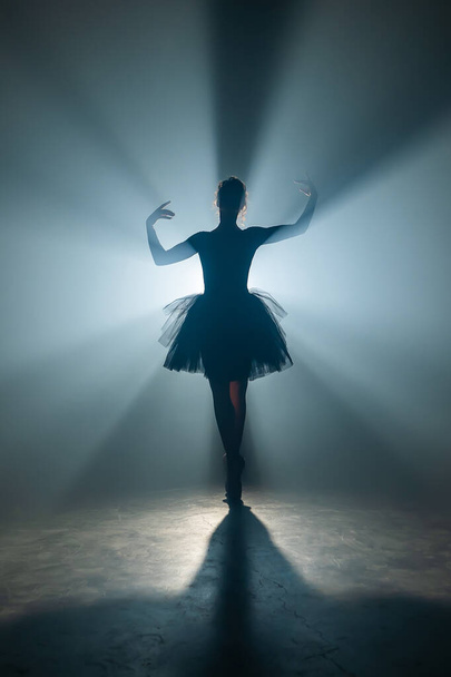 Solo performance by ballerina in tutu dress against backdrop of luminous neon spotlight in theater. Silhouette of woman in pointe shoes dancing classical movements. - Zdjęcie, obraz