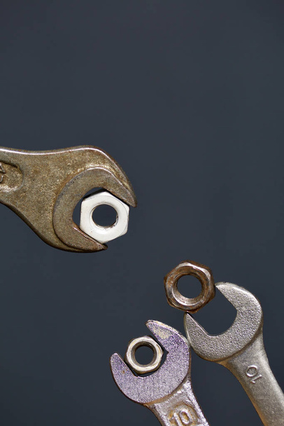 Horn wrenches with nuts. Horn wrench with nut. Imitation of feeding chicks. - Фото, зображення