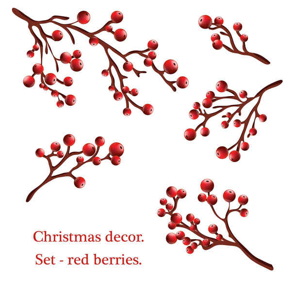 set - red holly berries.Realistic image set of holly, different  - Photo, Image