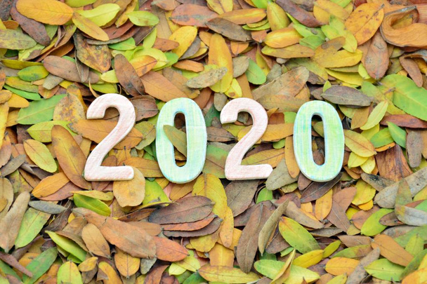 2020 έτος γραμμένο με ξύλινους αριθμούς σε φυσικό αποξηραμένα φύλλα φόντο - Φωτογραφία, εικόνα