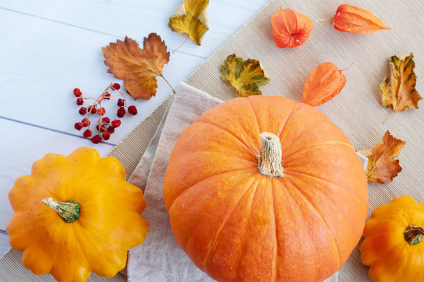Bright autumn background. Top view on orange pumpkin, squash, autumn leaves, physalis, flat lay, thanksgiving concept - Foto, Bild