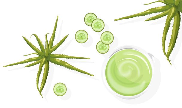 Aloe plant and cucumber slices - Διάνυσμα, εικόνα