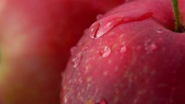 Drop of water flows down large ripe red apple - Záběry, video
