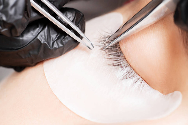 Master tweezers fake long lashes beautiful female eyes. Eyelash extension procedure - Photo, Image