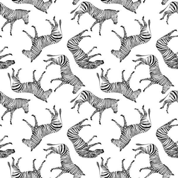 Watercolor seamless patterns with safari animals. Cute african zebra. - Foto, afbeelding