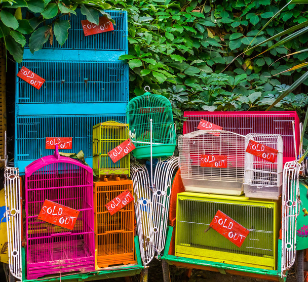 Molte gabbie per uccelli che hanno venduto tutti gli uccelli, commercio di animali domestici in Asia, background di sfruttamento animale
 - Foto, immagini