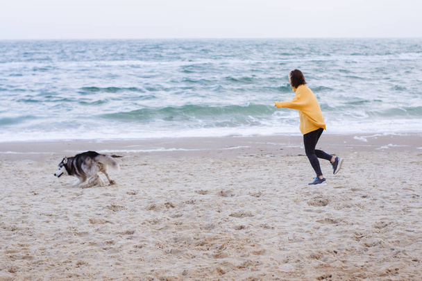 Νεαρή όμορφη γυναίκα σε κίτρινο πουλόβερ παίζει με ένα σκυλί (γκρι και λευκό husky) στην παραλία - Φωτογραφία, εικόνα