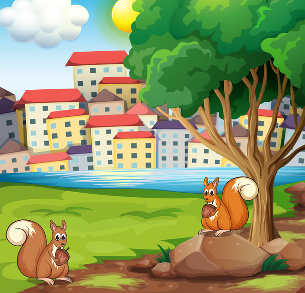 Two squirrels at the riverbank across the village - Vector, Image