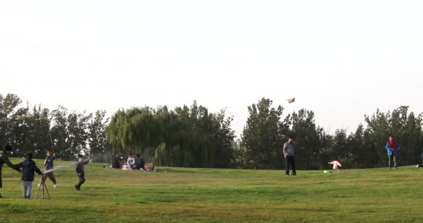 Menschen haben Spaß im Freien Park - Filmmaterial, Video