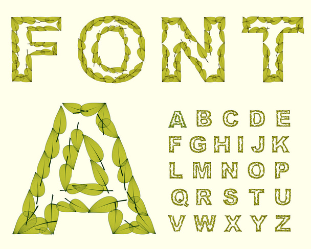 Green Leaves font. - Vector, Image