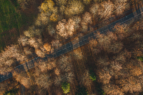 Luftaufnahme auf kleiner asphaltierter Waldstraße, Autos fahren im Herbst.  - Foto, Bild