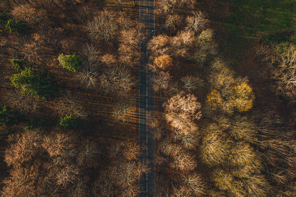 Vista aérea sobre un pequeño camino forestal asfaltado, coches conduciendo en otoño
.  - Foto, Imagen