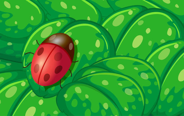A ladybug and the green leaves - Vektör, Görsel