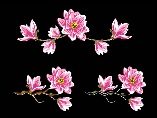 Branches of flowering magnolias - Vector, Image