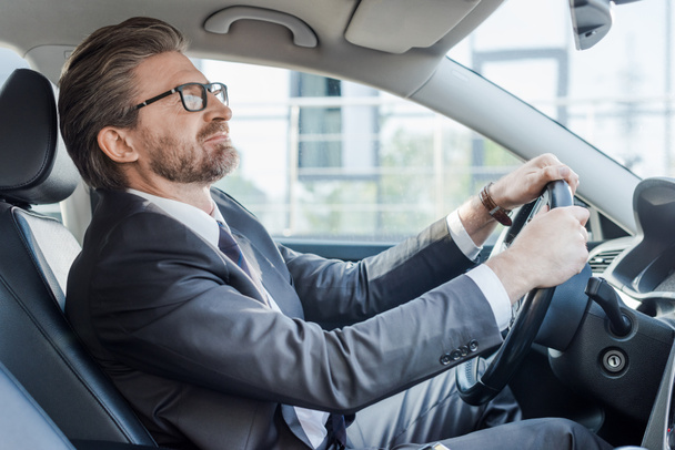 bearded ambassador holding steering wheel while driving car  - Photo, Image