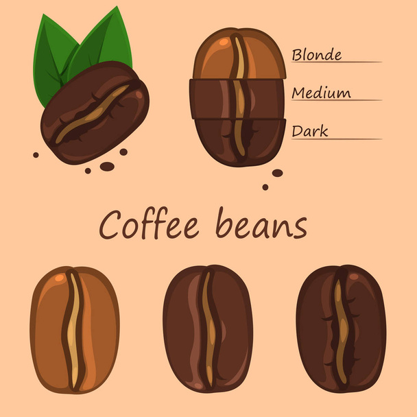 Ілюстрація набору кавових зерен з листям на світлому фоні
 - Вектор, зображення