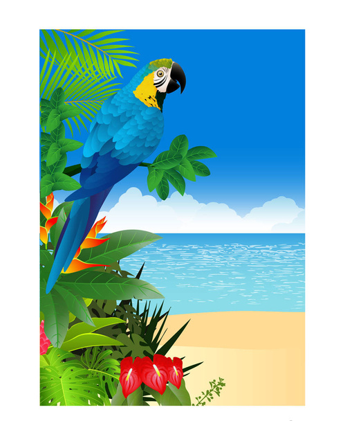 Karikatura papouška na větvích tropického stromu - Vektor, obrázek