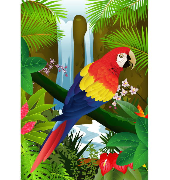 Карикатурный попугай на ветвях тропического дерева
 - Вектор,изображение