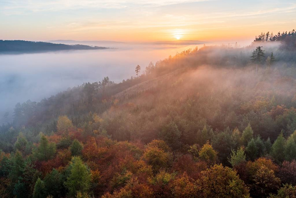 An aerial shot of a beautiful tree forest covered with fog with the sunset in the background - Photo, image