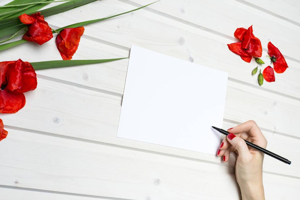 Vysokoúhlý snímek člověka kreslícího na bílý papír s černým perem v blízkosti červených okvětních lístků tulipánů na dřevěném povrchu - Fotografie, Obrázek