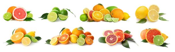 Různé chutné citrusové plody na bílém pozadí - Fotografie, Obrázek